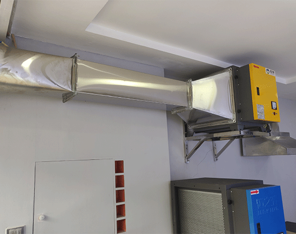 重庆厨房青青草视频免费